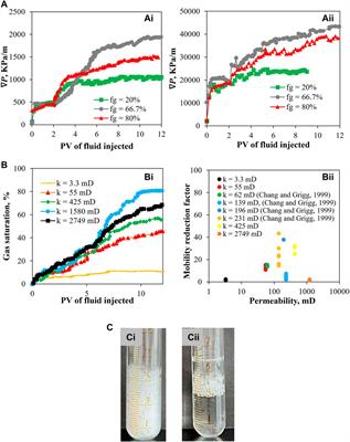 Experimental and population balance model interpretation of foam physics in porous media